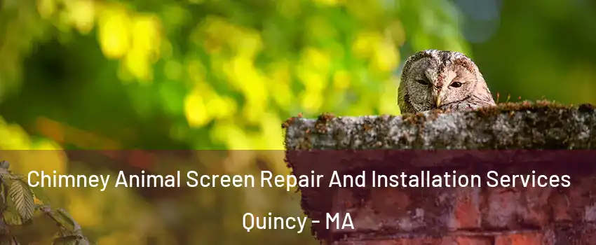  Chimney Animal Screen Repair And Installation Services Quincy - MA