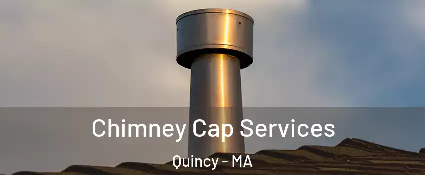  Chimney Cap Services Quincy - MA