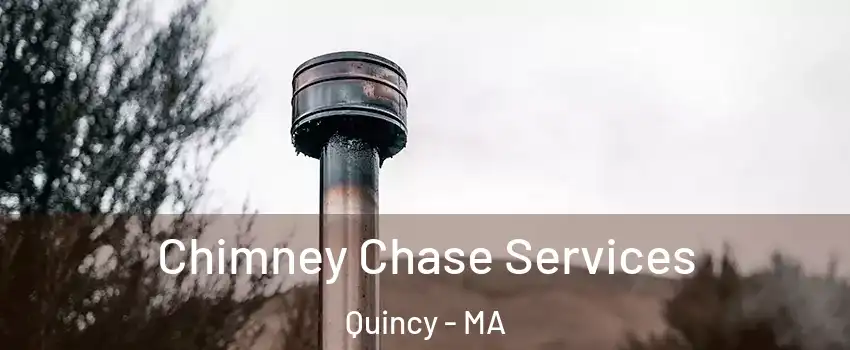  Chimney Chase Services Quincy - MA