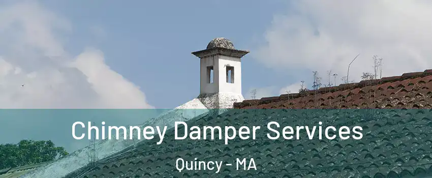 Chimney Damper Services Quincy - MA