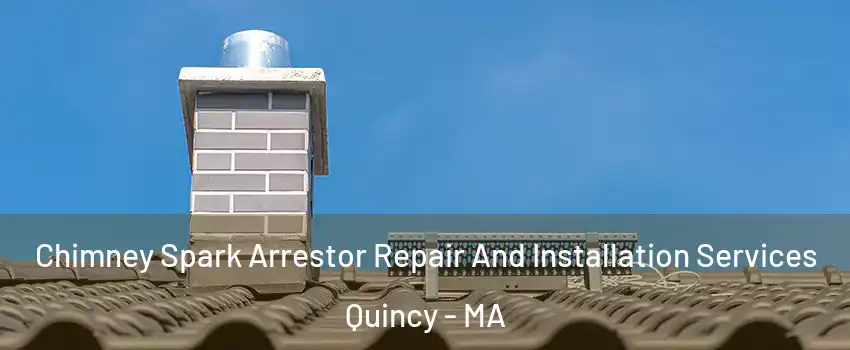  Chimney Spark Arrestor Repair And Installation Services Quincy - MA