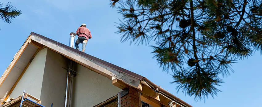 Birds Removal Contractors from Chimney in Quincy, MA