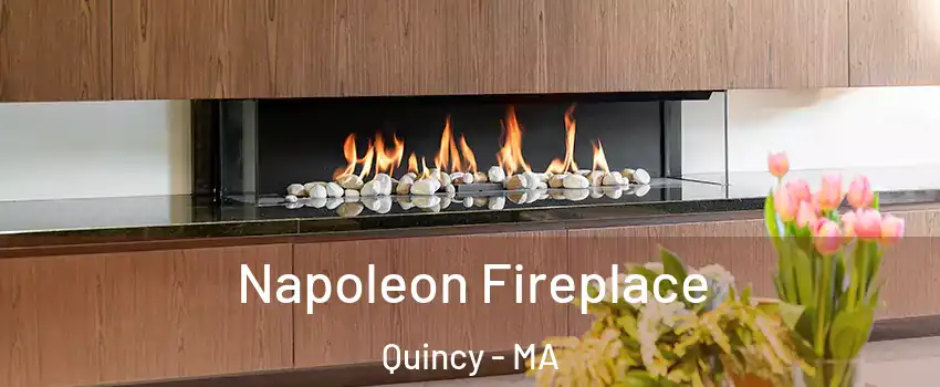  Napoleon Fireplace Quincy - MA